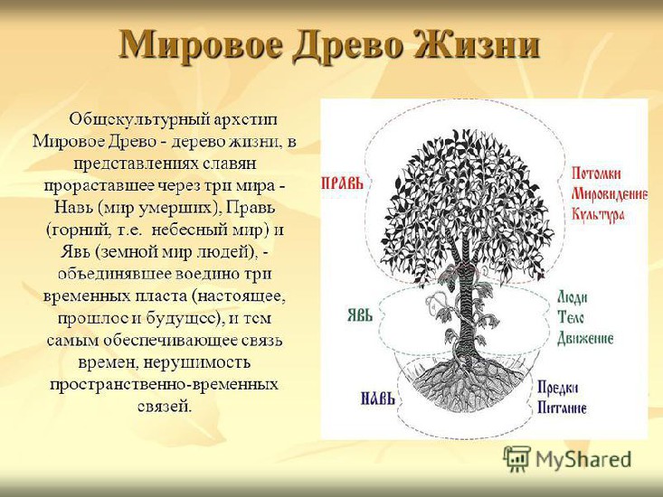 Мировое Дерево Славян