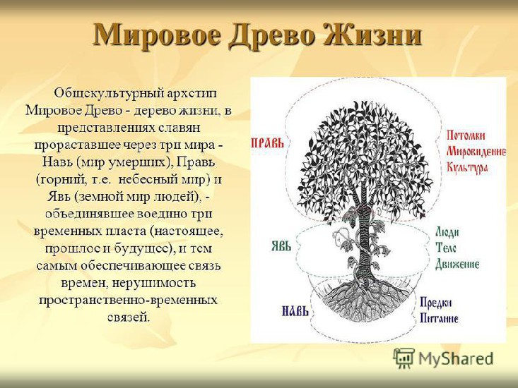 Древо Жизни Обозначение С Поздравлением